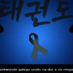 Loito no Taekwondo Galego